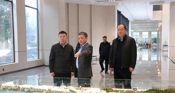 丽水市政府副秘书长王永国一行调研云顶集团集团